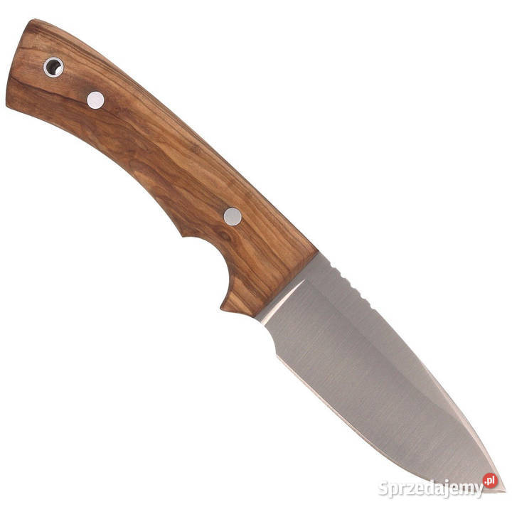 Nóż Muela Full Tang Olive Wood Satin 14116 mazowieckie Warszawa