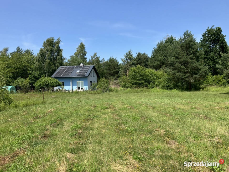 Urokliwa działka Żółwin Południowa 460zł/m2 sprzedam