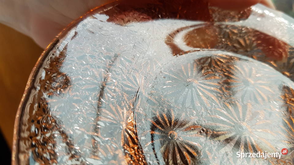 Zestaw 61 talerzyki talerz Stokrotki Primavera