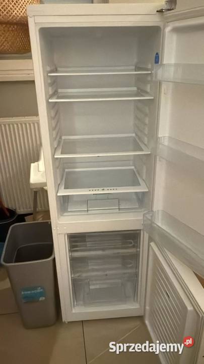 Lodówka Amica wolnostojaca Poznań