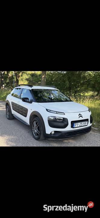 C4 cactus zamiana benzyna wielkopolskie Poznań