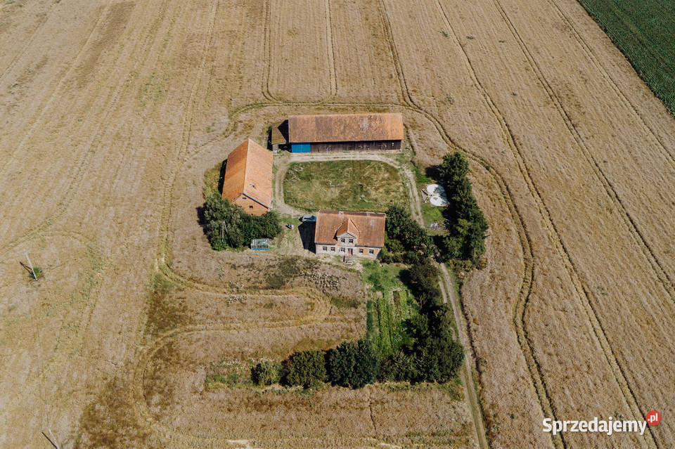 SPRZEDAM GOSPODARSTWO ROLNE 1687 ha Sprzedaż Wirwilty sprzedam