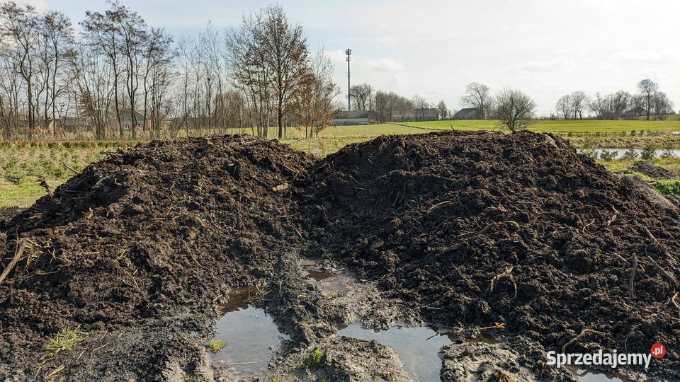 Ziemia ogrodowa torf TRANSPORT Dobrzyń nad Wisłą sprzedam