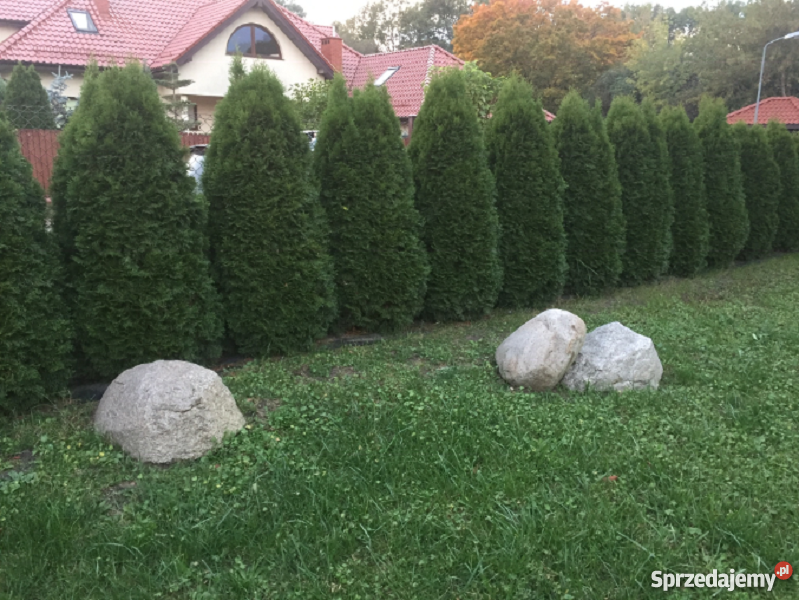 Duże Kamienie Kanie