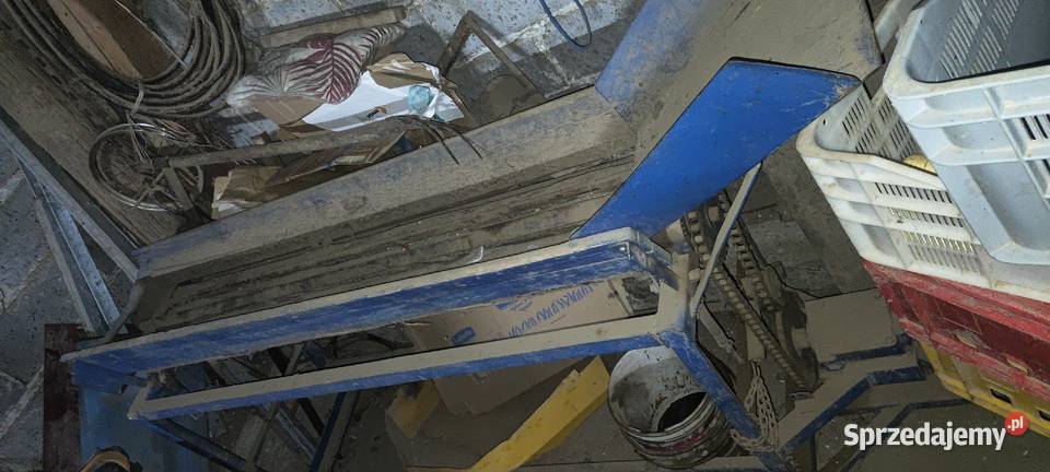 Obcinarka obieraczka do cebuli nieuszkodzony Kazimierza Wielka