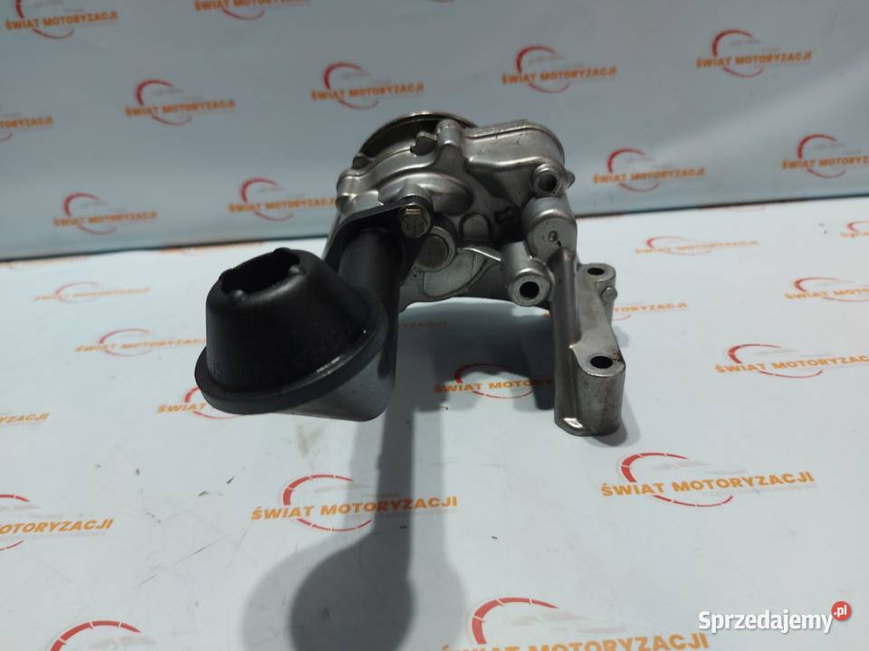 A3 LEON FABIA RAPID 16 TDI CAYN pompa oleju smok Części samochodowe Kielce