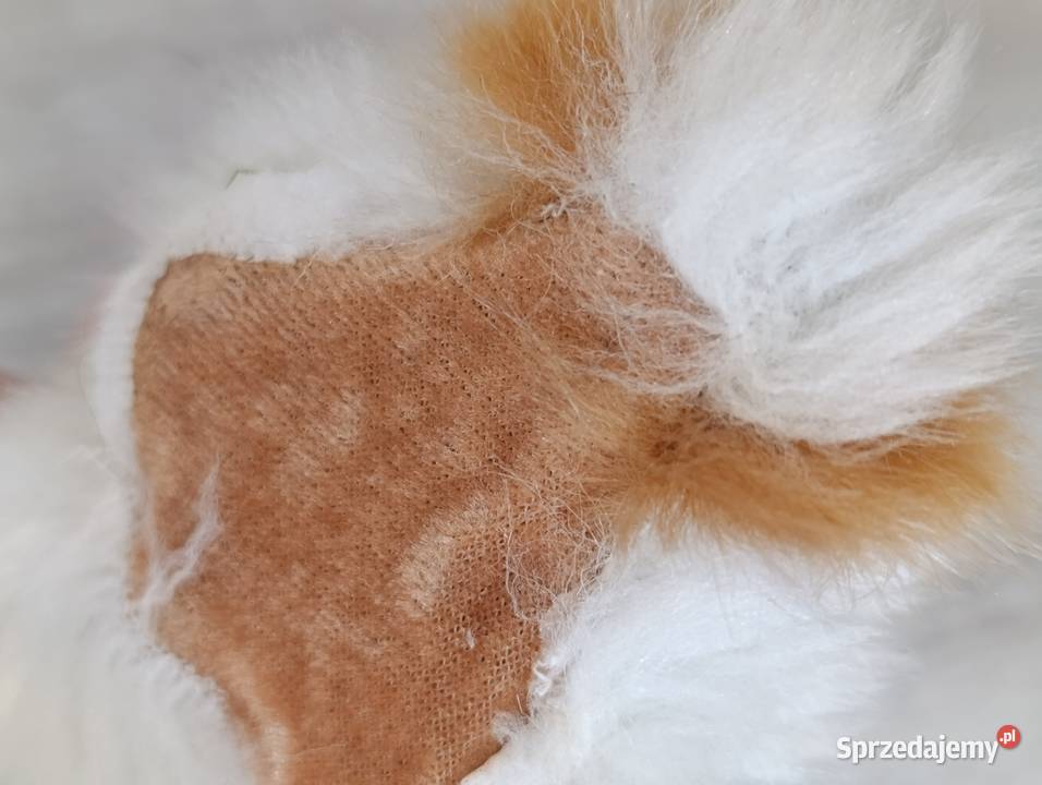 króliczek królik figurka Poznań