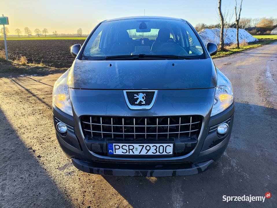 Peugeot 3008 16 eHDi Zadbany