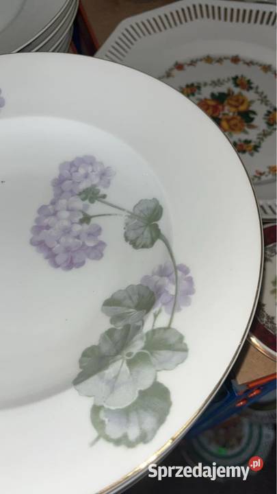 Talerz do zupy Carl Tielsch Syg C T Altwasser