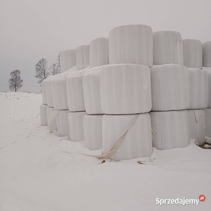 Sprzedam słome owiniętą prasie Mchele Burszewo