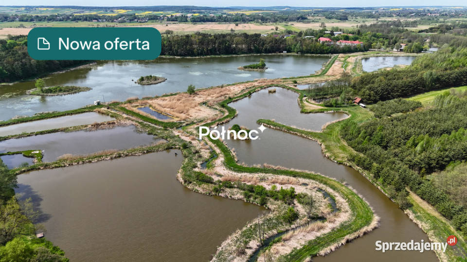 Staw rybny 274 ha Małochwiej Duży sprzedam