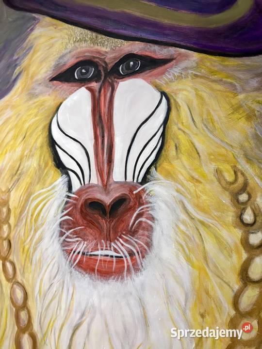 Zbój abstrakcja małpy Duszniki-Zdrój