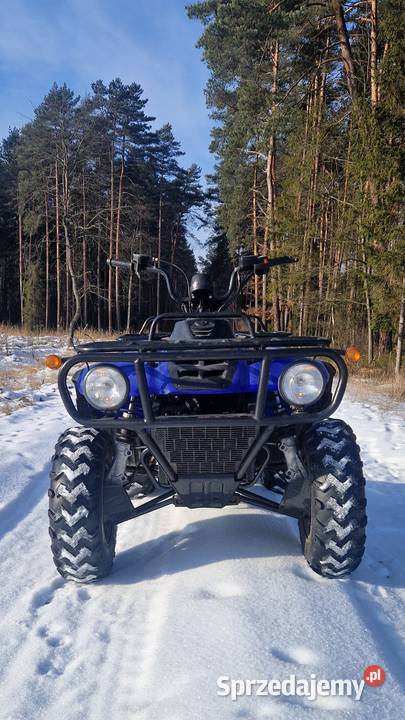 Linhai Ranger 260 Woźniki