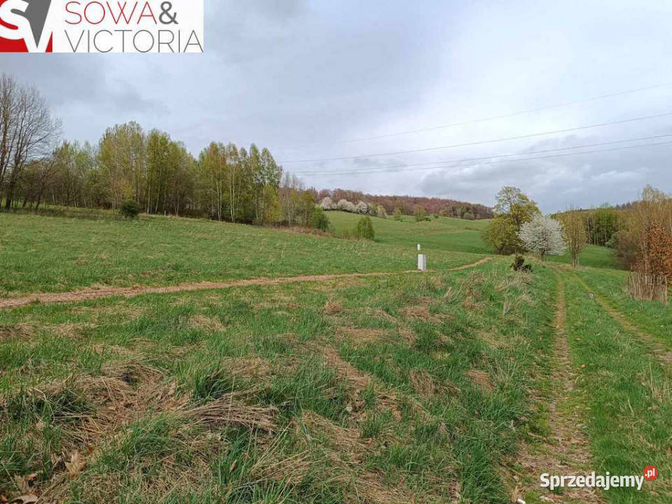 Ekspozycja południowo zach prąd już dostępny Głuszyca sprzedam