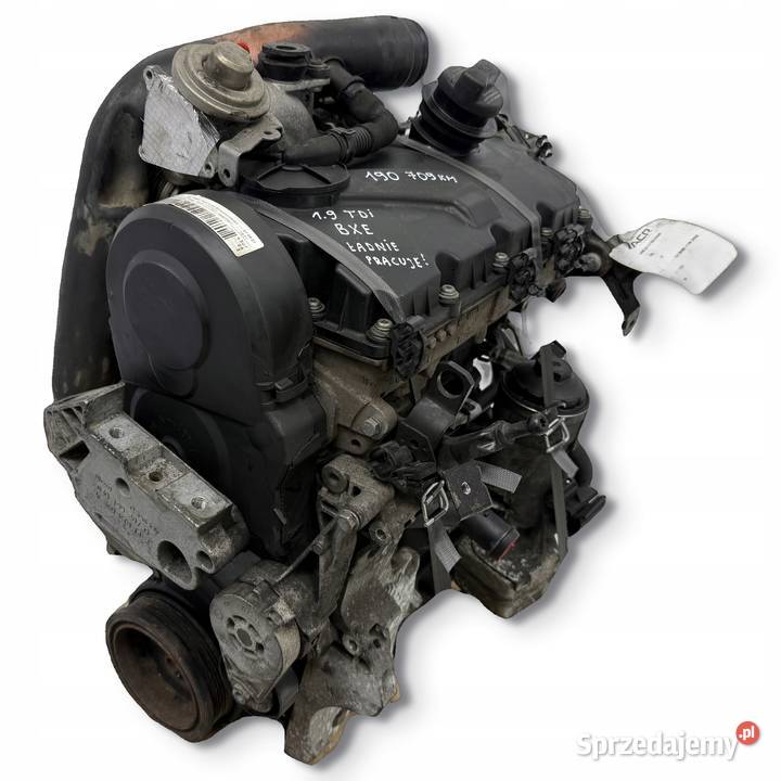 SILNIK BXE VW Golf V Jetta III Touran Passat B6 Chełm