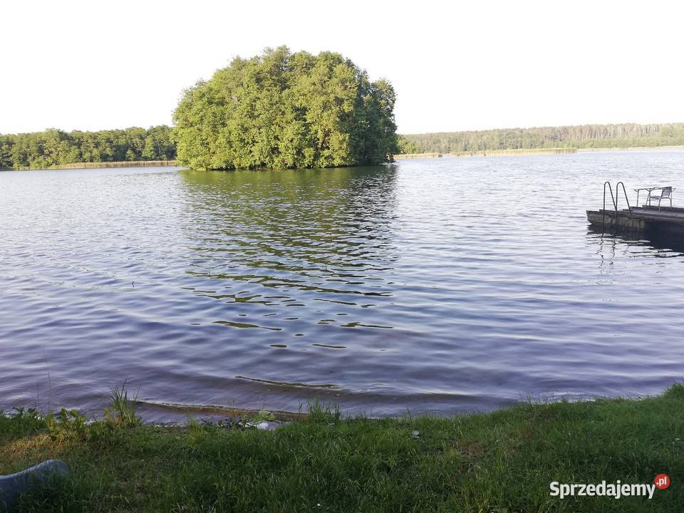 Działka letniskowa na wynajem Lubuskie Skwierzyna sprzedam