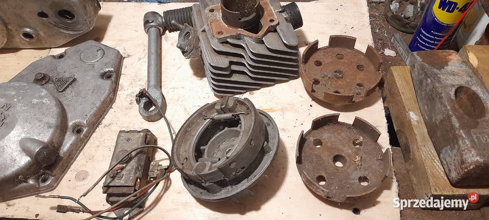 komar Pozostałe wielkopolskie Międzychód