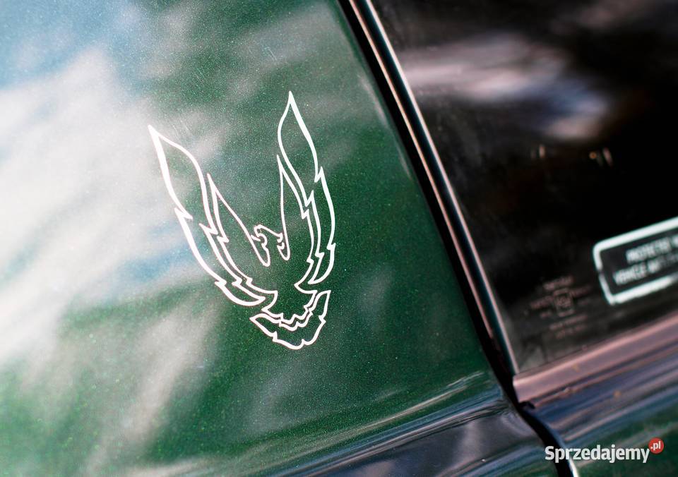 Pontiac Firebird Tarnów