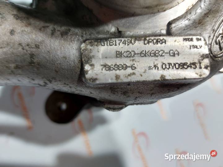 TRANSIT 22 TDCI EU5 DRFB DRFA FWD 100 świętokrzyskie Kielce