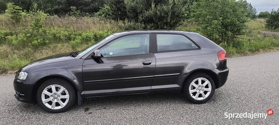 Audi a3 8p 19TDI 2008 FL 3D manualna Audi Niesułków-Kolonia sprzedam