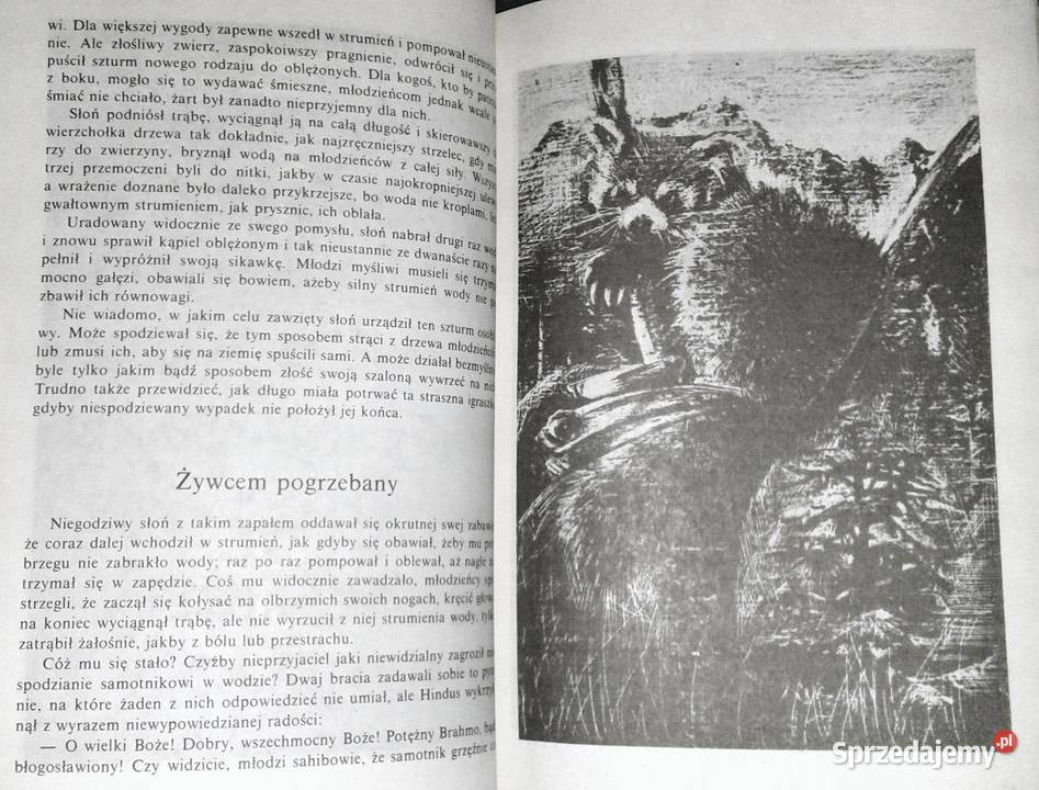 Dolina bez wyjścia Thomas Mayne Reid Rok wydania 1986 Pozostałe Chełm