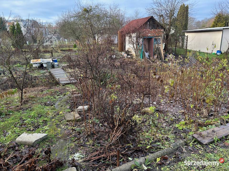 Działka ROD Związkowiec Wrocław Przejazdowa