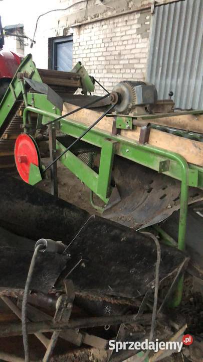 Sortownik ziemniaków Amazone BK 3 Sortowniki lubelskie Parczew sprzedam