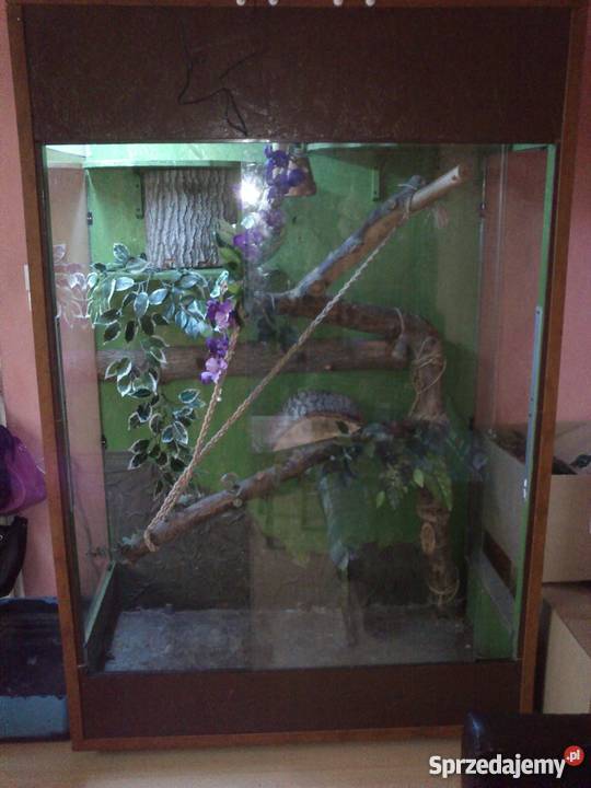 Terrarium wiekszego gada mazowieckie Ciechanów