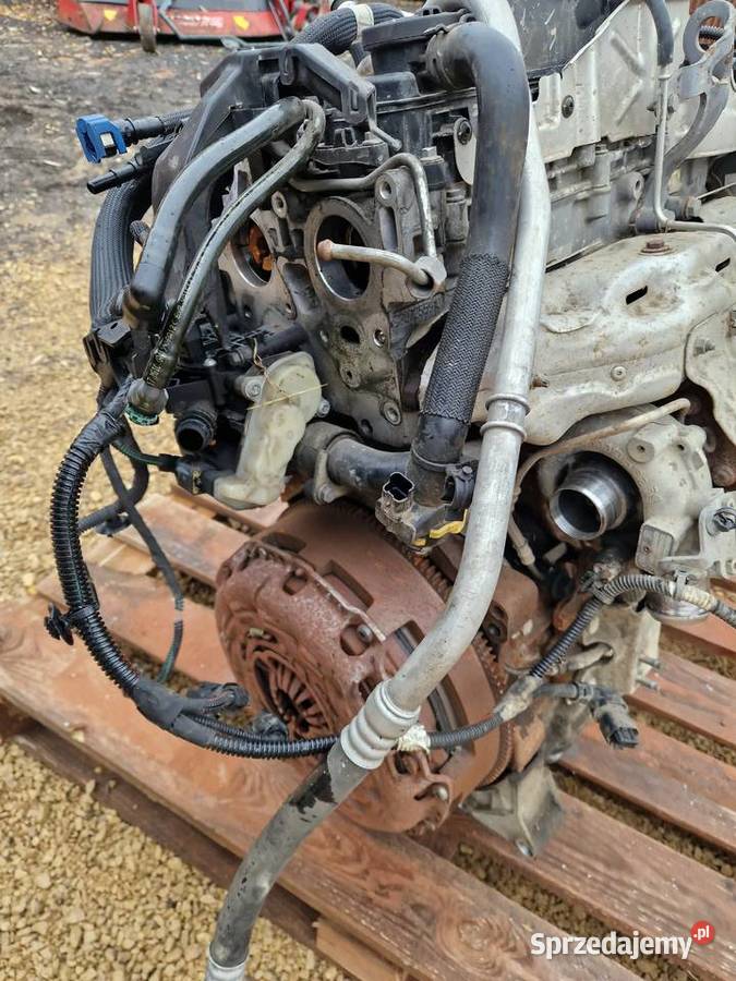 silnik PSA DW10FU pochodzi z Boxera przywieziony Zelów sprzedam