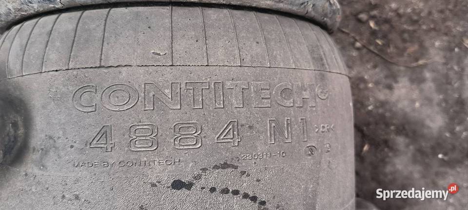 PODUSZKA TYŁ MAN TGX 18440 kujawsko-pomorskie Lipno