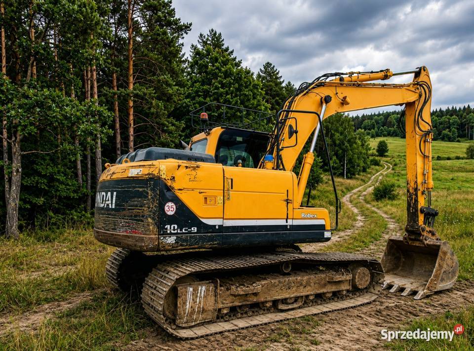Koparka gąsienicowa Hyundai Robex 140 LC9 6633 Bełchatów