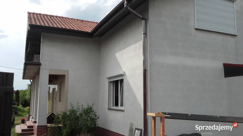 dom na wynajem Ostrów Wlkp Ostrów Wielkopolski