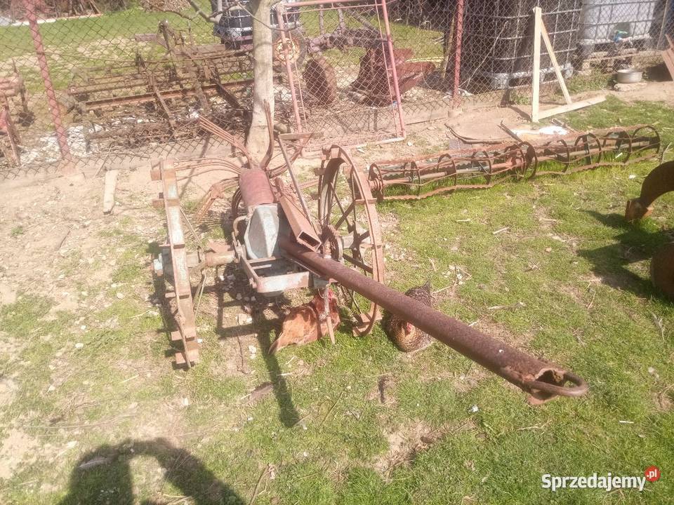 Kopacza do ziemniaków nieuszkodzony Wróblowice