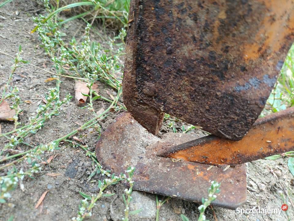 Siewnik zbożowy Amazone D7 SUPER S drobny wysiew sprzedam