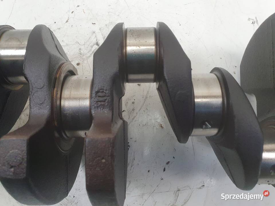 Seat Leon II 16 8V WAŁ KORBOWY DA50857 Rudka