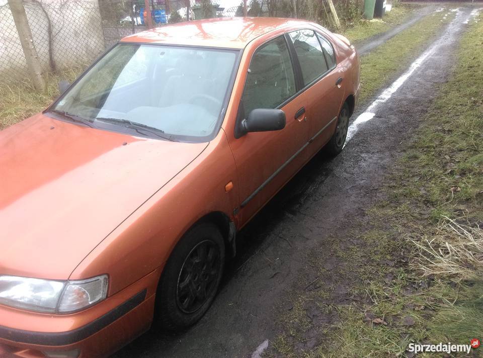Nissan Primera P11 20 TD 90 nieuszkodzony Krobia