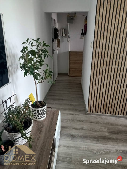 sprzedaży mieszkania Wodzisław Śląski 55m2 3 55m2 sprzedam