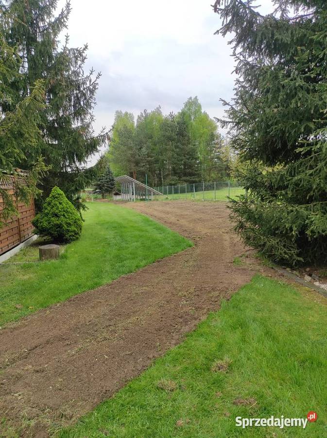 Glebogryzarka separacyjna równanie terenu Rybnik