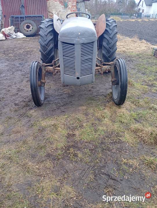 Sprzedam Fergusona TEA 20 w Gniezno