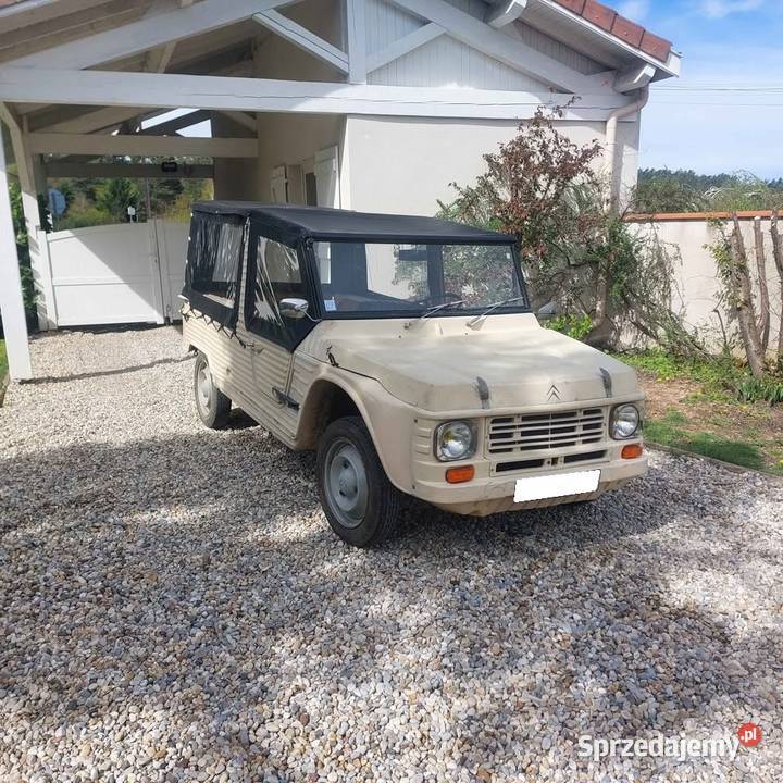 Citron Mhari Anne 1979 CT OK lubelskie Lublin