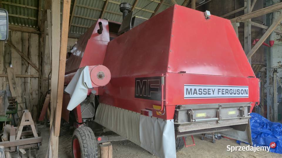 Massey ferguson 31 lubelskie Żuków-Kolonia