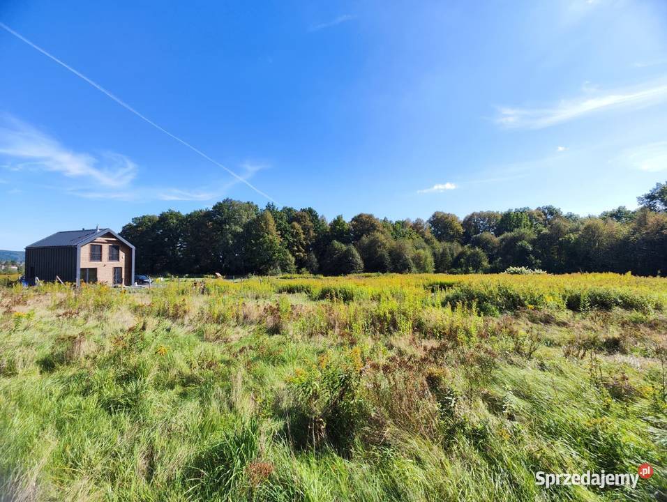 Działka z widokiem na Karkonosze TOP budowlana Sprzedaż Wojcieszyce