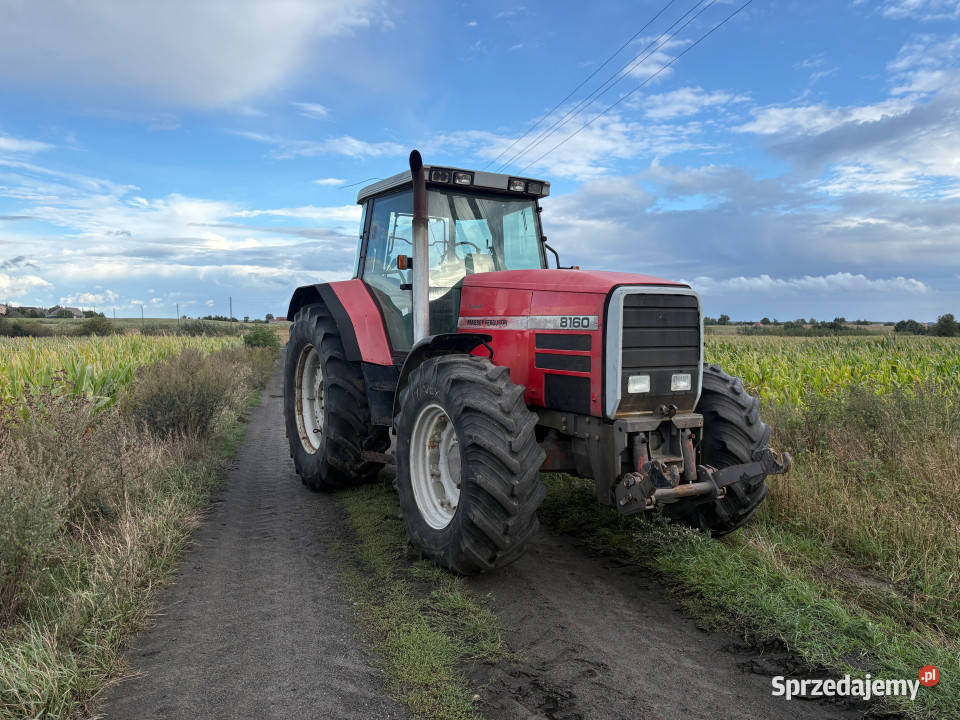 Ciągnik Massey Ferguson 8160 4x4 200 Gorzów Wielkopolski