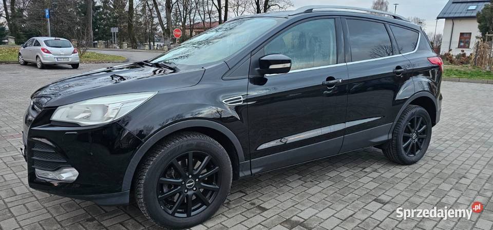 Na sprzedaż zadbany świeżo sprowadzony z Niemiec czarny Krasnobród