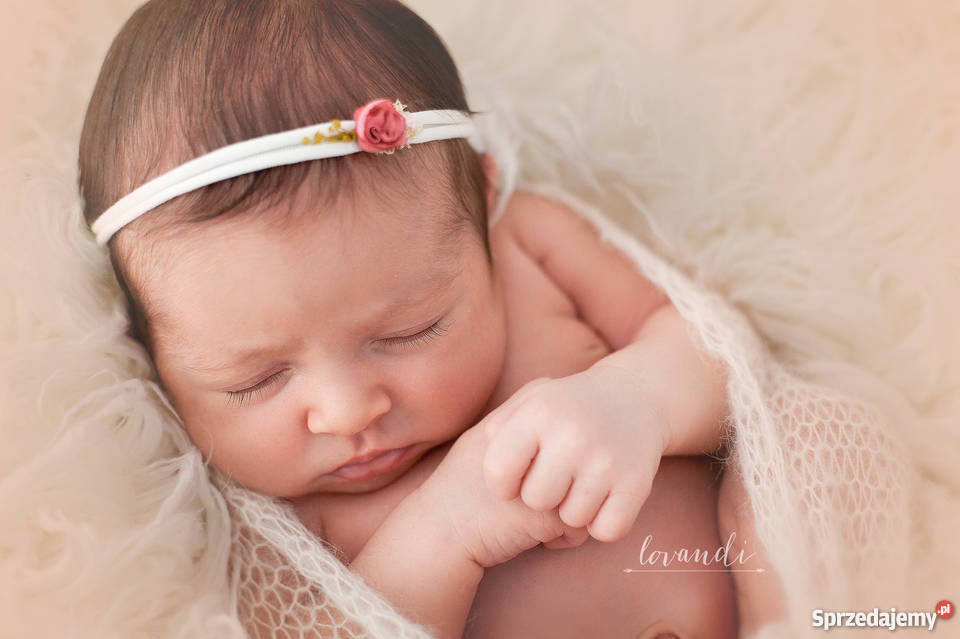 Sesja noworodkowa Wrocław Wrocław