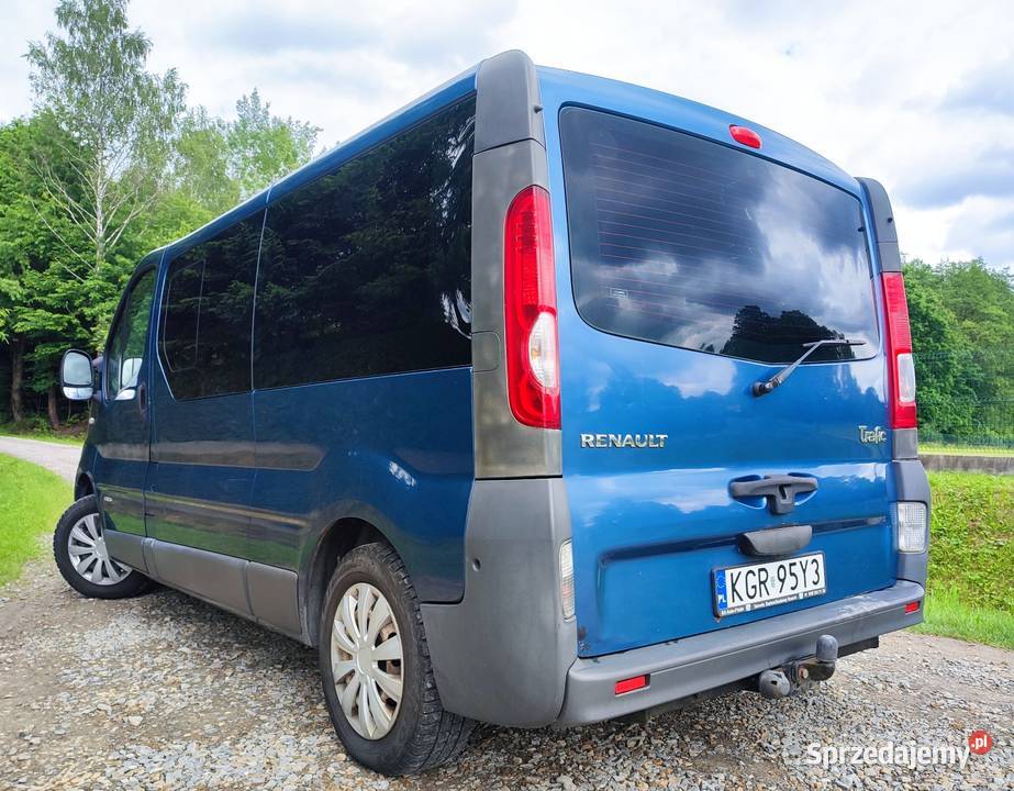 Renault Trafic 20 dCi 115 2009 9 osobowy 340 Domaradz
