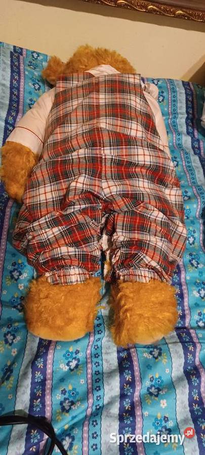 Miś trociniak twardawa maskotka PRL w ubranku Poznań