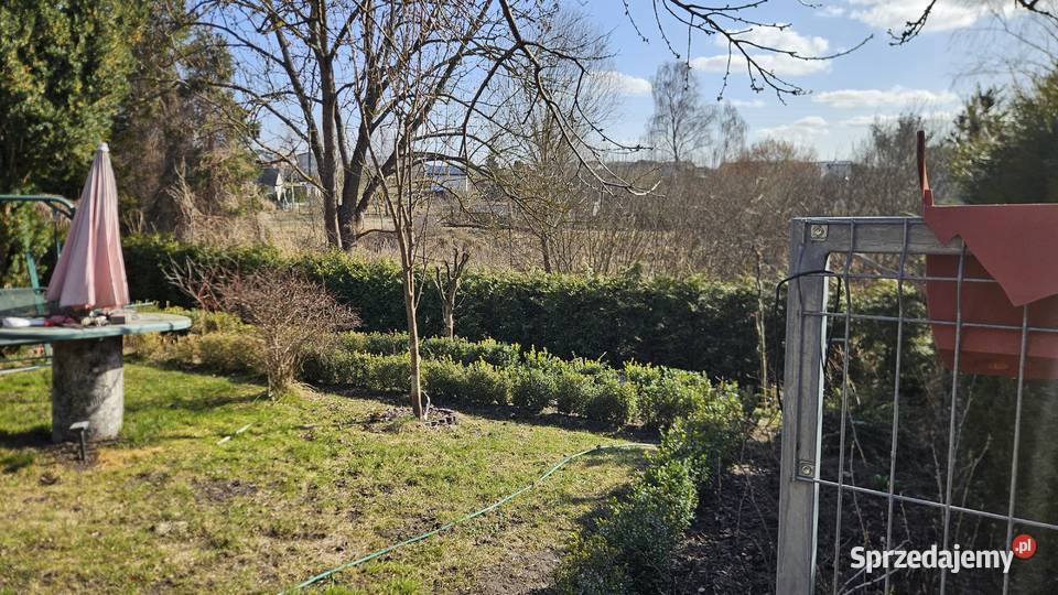 Sprzedam działkę rekreacyjną Gdańsk Jasień Sprzedaż