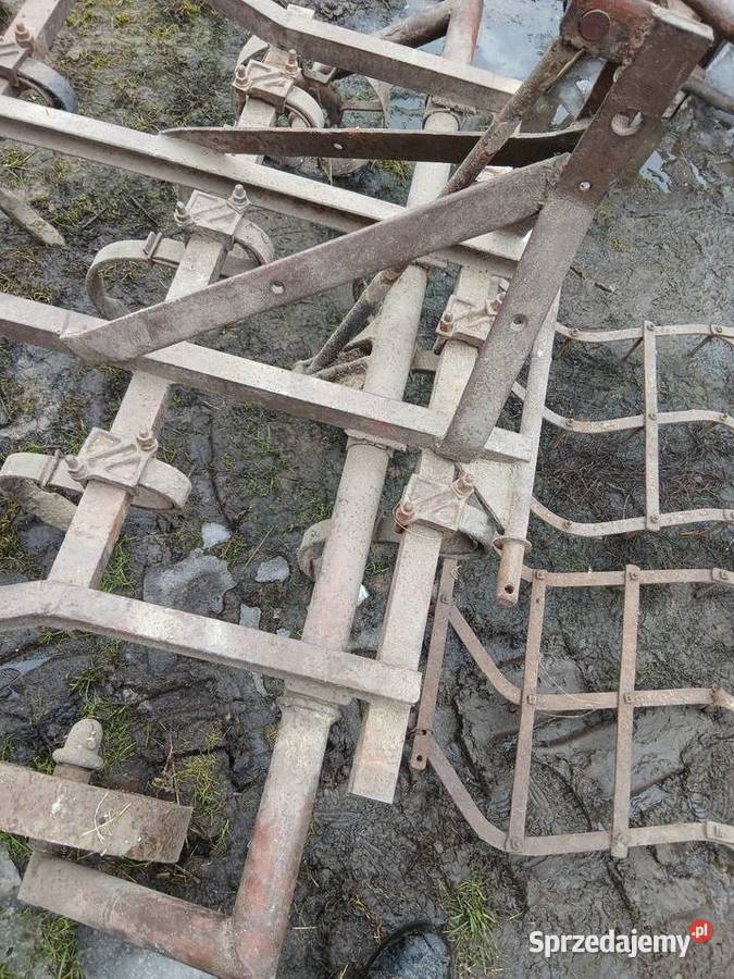 Gruber brony Hrubieszów