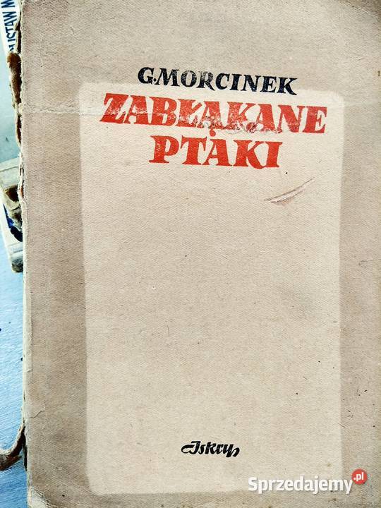 Morcinek Zabłąkane ptaki antykwariat internetowy sprzedam